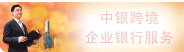 �����羳��ҵ���з���