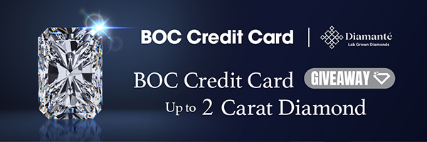 BOC_Diamante_300x100-2