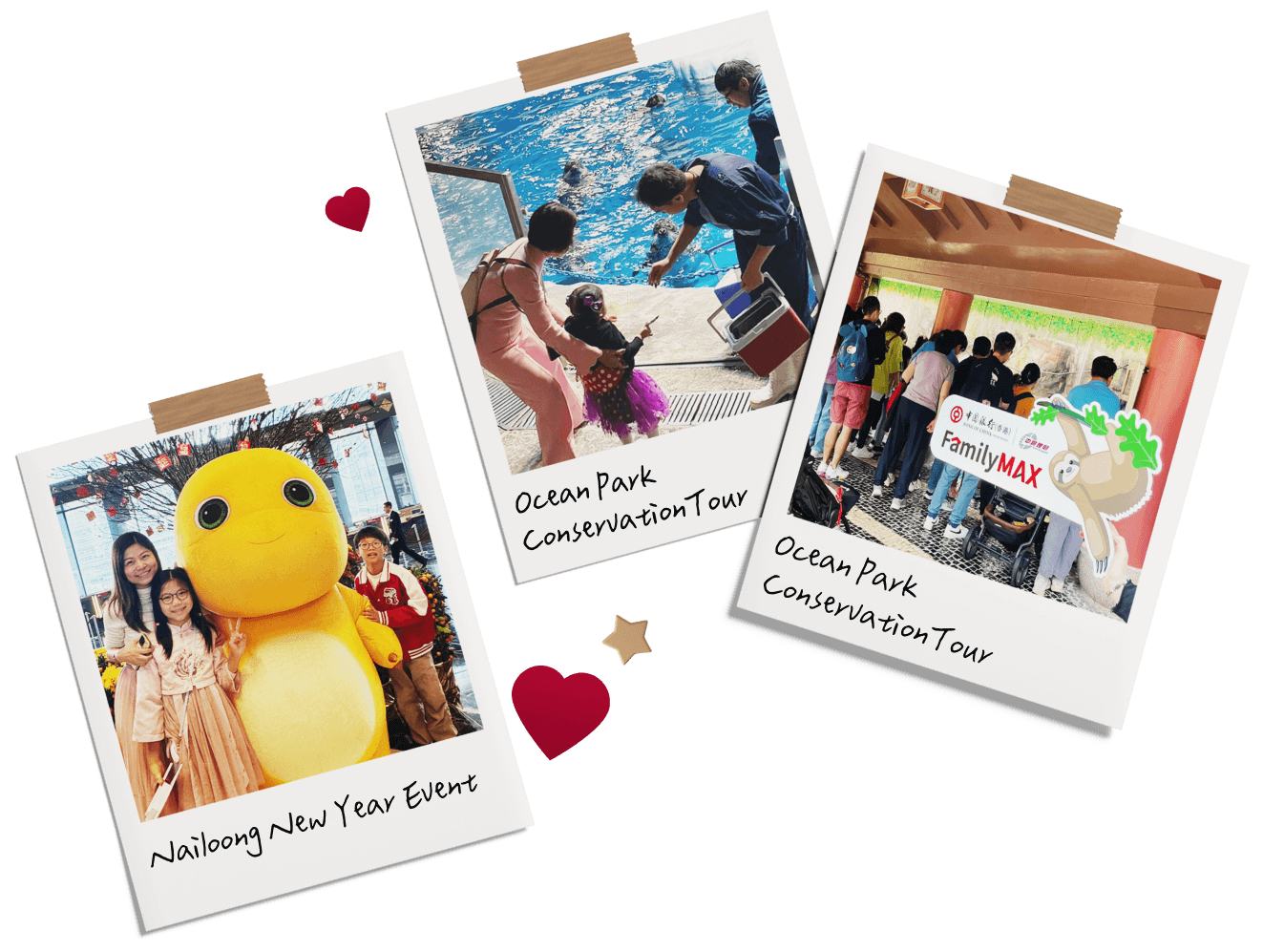 Nurture love in children and promote their holistic development through unique and engaging activities, such as "Ocean Park Conservation Tour" and "Nailoong New Year Event".